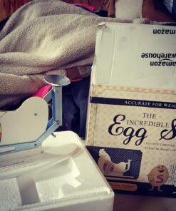 The Incredible Egg Scale 1 31 71EA0h9 N6L
