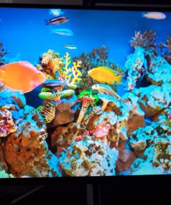 Sony 27” INZONE M9 4K HDR 144Hz HDMI 2.1 Gaming Monitor with Full Array Local Dimming and NVIDIA G-SYNC (2022),Black M9 Gaming Monitor 75 71EAKyW3AdL