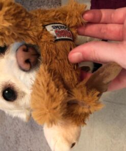 KONG - Cozie Marvin Moose - Indoor Cuddle Squeaky Plush Dog Toy - for Small Dogs Gold,brown 36 71EATsoFNL