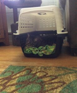 Petmate Compass Fashion Kennel Cat and Dog Kennel, 10-20 lb., Pearl White/Black, Made in USA 20.0"L x 12.5"W x 13.5"H 42 71EDQHSwy4L