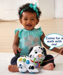 VTech Pull and Sing Puppy 23 71EE9282nBL