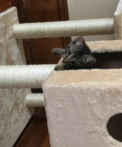 Go Pet Club Cat Tree, 50W x 26L x 72H, Beige 64 71EEDNi0 sL