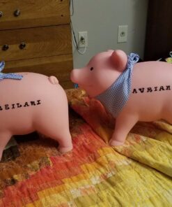 Schylling Rubber Piggy Bank Pink, 1 EA 31 71EF0FiMbuL
