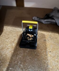 Mouse Trap Mouse Traps Indoor Mouse Traps for House Mouse Traps Outdoor Mice Traps for House Indoor 6 Pack M1-6 Packs 30 71EJQ1W EoL