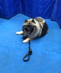 Leashboss 3X - Two Handle Dog Leash with Extra Traffic Handle - Heavy Duty Double Padded Handle Lead for Walking and Training Large Dogs - Large Dog Leash for Control and Training 28 71EJzhzctYL