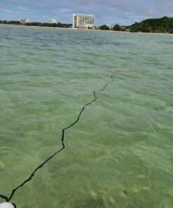 Gradient Fitness Marine Anchor, Kayak Anchor Kit Also for, Canoes, Paddle Boards (SUP), Jet Ski Anchor, Small Boat Anchor Kit 3.5 lb Folding Anchor 38 71EKZBLHJOL