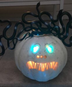 Fun Central 12 Pack - Realistic Rubber Snakes Toys for Garden in Bulk - 22 inches 34 71EP1F95xNL