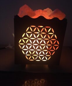 CRYSTAL DECOR Himalayan Pink Salt Lamp Basket & Dimmer Cord Bulb Flower 37 71EPBQRk24L