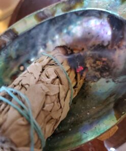 3 White Sage Smudge Gift Kit - Abalone Shell, Feather, Stand, Instructions & More - Smudging, Cleansing, Healing & Stress Relief Standard with Feather, Stand & Chakra Bracelet 36 71ERFf3LbtL