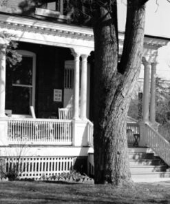 Kodak 857 2273 Professional 100 Tmax Black and White Negative Film 120 (ISO 100) 5 Roll Pack 1-Pack 17 71ERP8BdtuL