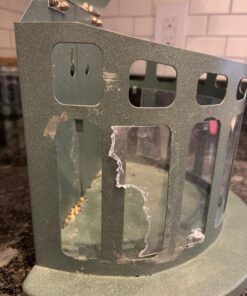 Woodlink Squirrel Diner Feeder Model 75590 beige 30 71ESk8kFSHL