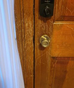 OLD ENGLISH 62338-75462, 8 Ounce (Pack of 1) 8 Ounce (Pack of 1) 51 71ESntYrtCL