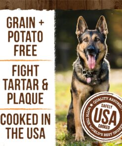 Merrick Fresh Kisses Oral Care Dental Dog Treats for Large Dogs Over 50 lbs Large Dog (50+ Pound) NEW! Pumpkin + Cinnamon 14 Count (Pack of 1) 14 71EUgyEJ1DL