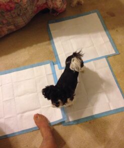 Four Paws Wee-Wee Superior Performance Pee Pads for Dogs - Dog & Puppy Pads for Potty Training - Dog Housebreaking & Puppy Supplies - 22" x 23" (150 Count),White 150 30 71EUhHzKjUL