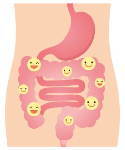 DrFormulas' Best Probiotics for Women & Men | Nexabiotic Multi Probiotic with Saccharomyces Boulardii, Lactobacillus Acidophilus, B. infantis, Prebiotic 60 Count Capsules (Not Pearls) Unflavored for Men and Women 60 Count (Pack of 1) 29 71EVoX1j5ZL