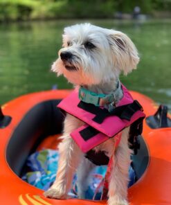 INTEX Explorer Inflatable Boat Series: Dual Air Chambers – Welded Oar Locks – Grab Handles – Bow Rope – Sporty Design Explorer 100 28 71EW51tnqoL