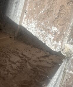 Safer Home SH51703 OMRI Listed Diatomaceous Earth - Ant, Roach, Bedbug, Flea, Silverfish, Earwig, & Crawling Insect Killer 41 71EY7hX 63L