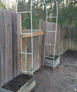 NStar Real Sized Metal Decoration Arch, White 29 71EYUKtGkAL