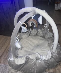 5-in-1 Thick & Plush Play Gym, Activity Gym & Play Mat, Cat Bed, Dog Bed, Convertible Stage-Based Developmental from Baby to Toddler, Ball Pit, Soft Plush Pet Bed, Pet Cushion, Balls are not Included Grey 24 71EZA2ebv L