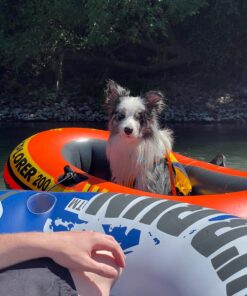 INTEX Explorer Inflatable Boat Series: Dual Air Chambers – Welded Oar Locks – Grab Handles – Bow Rope – Sporty Design Explorer 200 32 71EaByFyBzL