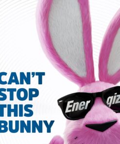 Energizer AA Batteries, Ultimate Double A Battery Lithium, 12 Count 12 Count (Pack of 1) 29 71EaZcdRRFL