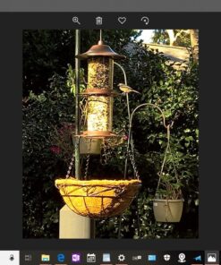 Perky-Pet 325S Panorama Bird Feeder 30 71Eb24DoOUL
