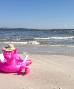 SWIMLINE Original Giant Ride On Inflatable Pool Float Lounge Series | Floaties W/Stable Legs Wings Large Rideable Blow Up Summer Beach Swimming Party Big Raft Tube Decoration Tan Toys for Kids Adults LOL Pig 9 71EbF9lWn3L