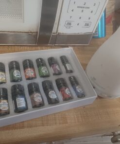 Artizen Top 14 Essential Oil Set for Diffuser, Aromatherapy and Candle Making - Fall Holiday Fragrance Scents with Lavender, Frankincense, Eucalyptus Oils and More Top 14 Aromatherapy Set 0.17 Fl Oz (Pack of 14) 47 71EhEYlq5kL