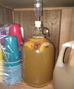 FastRack Stopper/Airlock 1 Gallon Glass Fermenter/Jug, Clear 1 Count (Pack of 1) 39 71EhL7KUKNL