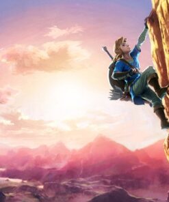 The Legend of Zelda: Breath of the Wild Special Edition (Console Not Included) Nintendo Switch 16 71El3y3gHTL 1