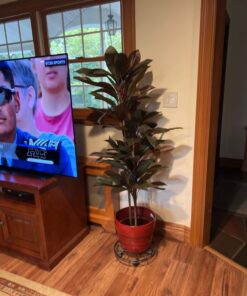 Nearly Natural 6580 Cordyline Silk Plant Real Touch, 5-Feet, Green 18 71Ensa9kYUL