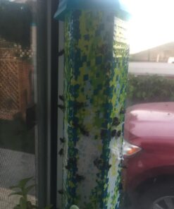 RESCUE! Fly TrapStik – Indoor Hanging Fly Trap Green 29 71EnzDKyxRL