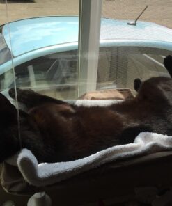 Oster Sunny Seat Window-Mounted Cat Bed, 50 Pounds 48 71ErL8e2ZqL