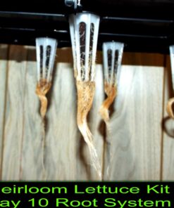 AeroGarden Heirloom Salad Greens Mix Seed Pod Kit - Salad Kit for AeroGarden Indoor Garden, 7-Pod 34 71Es2mQPPcL