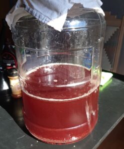 Big Mouth Bubbler® EVO - 5 Gallon Wide Mouth Glass Carboy Fermentor 19 71Es85W 3mL