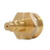 Camco Blow Out Plug With Brass Quick Connect-Aids in Removal of Water From Water Lines (36143) Brass with Quick Connect Fitting