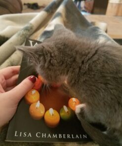 Wicca Candle Magic: A Beginner’s Guide to Practicing Wiccan Candle Magic, with Simple Candle Spells (Wicca for Beginners Series) 24 71ExOiGkCXL