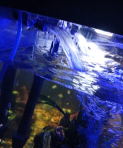 Tetra 25870 Impeller Whisper Power filter, 60-Gallon - 75069200 6 71F0Dhg9G0L