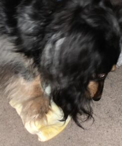 PET MAGASIN Rawhide Alternative Natural Jumbo Cow Ears 12-Pack Dog Treats Super Chew Long-Lasting, Made in Registered Facility 41 71F0KG7oDL