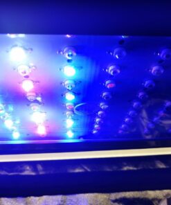 KingLED Newest 3000w LED Grow Lights with LM301B LEDs 4 * 2ft Coverage Full Spectrum Grow Lights for Indoor Hydroponic Plants Veg Bloom Greenhouse Growing Lamps 54 71F0e7MlytL