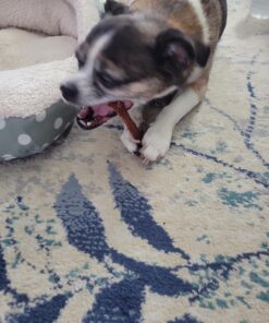 Kingdom Pets Duck Breast Jerky, Premium Treats for Dogs, 40 oz. Bag 32 71F2XpSOqZL