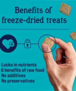 Stewart Freeze Dried Dog Treats, Beef Liver, Grain Free & Gluten Free, 14 Ounce Resealable Tub, Single Ingredient, Made in USA, Dog Training Treats 14 Ounce (Pack of 1) 24 71F4CQJpwDL 1