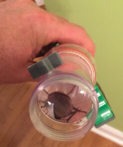 Nature Bound Bug Catcher Toy, Eco-Friendly Bug Vacuum, Catch and Release Indoor/Outdoor Play, Ages 6+ Retail Packaging 36 71F60vws6DL 1