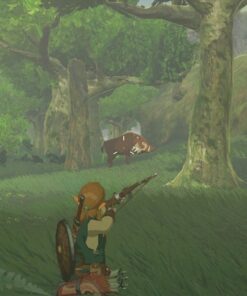 The Legend of Zelda: Breath of the Wild Special Edition (Console Not Included) Nintendo Switch 12 71F6bC3clVL 1