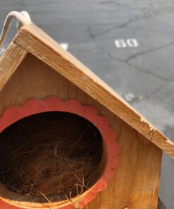 Prevue Pet Products BPV105 Sterilized Natural Coconut Fiber for Bird Nest (60000105) 1 Pack 13 71FDnQh3JzL