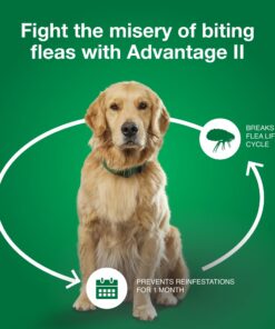 Advantage II Medium Dog Vet-Recommended Flea Treatment & Prevention | Dogs 11-20 lbs. | 4-Month Supply 4-Pack 19 71FIcmSBx0L 1