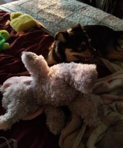 Alternative view of Aurora Plush 12 inches Elephant Tubbie Wubbie (Light Grey)