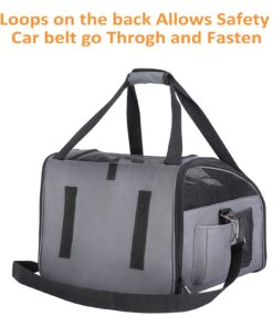 Pettom Dog Car Seat Pet Car Booster Seat Carrier Airline Approved for Dog Cat Puppy Small Animal Travel Cage (Gray-1, Small-Hold Pet up to 13lb) Gray-1 18 71FJCu16AjL