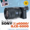 David Busch’s Sony Alpha a6000/ILCE-6000 Guide to Digital Photography (The David Busch Camera Guide Series) 7 71FLrnxFgRL