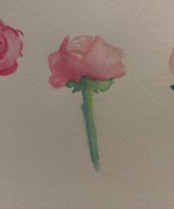 DIY Watercolor Flowers: The beginner’s guide to flower painting for journal pages, handmade stationery and more Paperback, April 30, 2019 46 71FPrqDmML